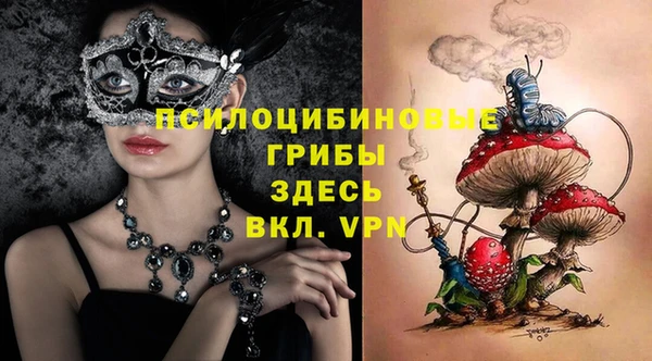 молекула духа Алзамай